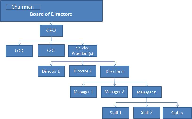 Ceo And Coo Org Chart